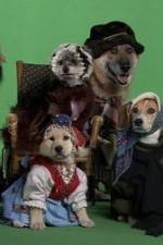Watch Heidi 4 Paws 9movies