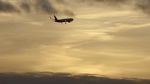 Watch The Man Who Fell from the Sky 9movies