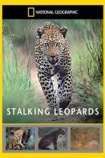 Watch National Geographic: Stalking Leopards 9movies