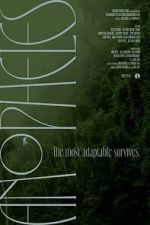 Watch Anopheles 9movies