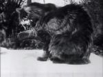 Watch Le déjeuner du chat 9movies