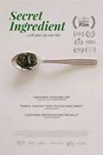 Watch Secret Ingredient 9movies