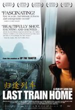Watch Last Train Home 9movies