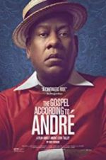 Watch The Gospel According to André 9movies