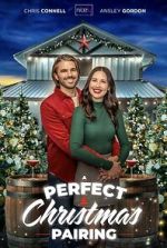 Watch A Perfect Christmas Pairing 9movies