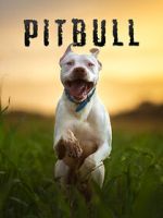 Watch Pitbull 9movies