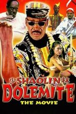 Watch Shaolin Dolemite 9movies