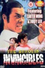 Watch Yong zheng ming zhang Shao Lin men 9movies