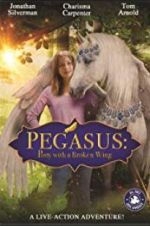 Watch Pony with a Broken Wing 9movies