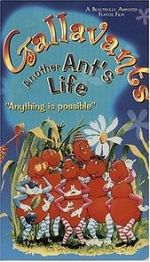 Watch Gallavants 9movies