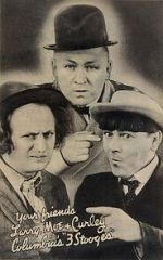 Watch Three Little Sew and Sews (Short 1939) 9movies