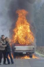 Watch End of the World 9movies