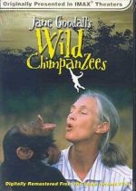 Watch Jane Goodall\'s Wild Chimpanzees 9movies