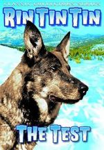 Watch The Test 9movies