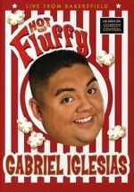 Watch Gabriel Iglesias: Hot and Fluffy 9movies