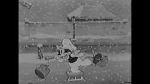 Watch Bosko in Dutch (Short 1933) 9movies