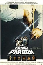 Watch The Big Pardon 9movies
