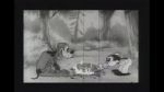 Watch Bosko\'s Dog Race 9movies