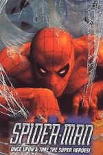 Watch De Superman à Spider-Man: L\'aventure des super-héros 9movies