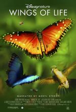 Watch Disneynature: Wings of Life 9movies