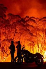 Watch Fire Fight Australia 9movies