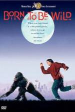 Watch Born to Be Wild 9movies