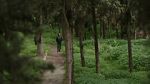Watch My Tree 9movies