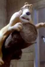 Watch Creature Comforts 9movies
