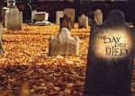 Watch The Day They Died 9movies