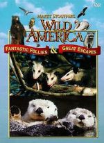 Watch Fantastic Follies 9movies