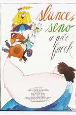 Watch Slunce, seno a pár facek 9movies