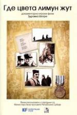 Watch Where the Yellow Lemon Blooms 9movies
