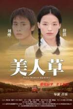 Watch The Foliage 9movies