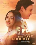 Watch The Last Goodbye 9movies