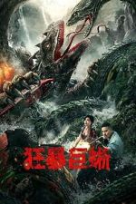 Watch Crazy Lizard 9movies