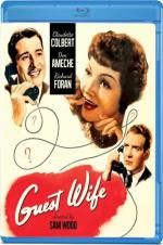 Watch Guest Wife 9movies