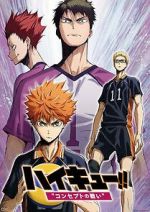 Watch Haikyû!! Concept no Tatakai 9movies
