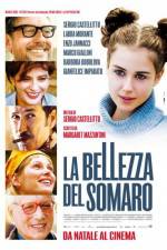 Watch La bellezza del somaro 9movies