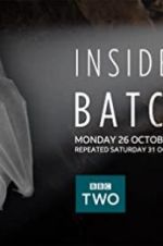 Watch Inside the Bat Cave 9movies