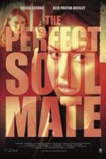 Watch The Perfect Soulmate 9movies