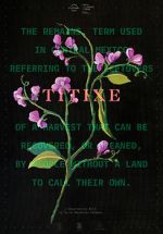 Watch Titixe 9movies