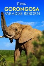 Watch Gorongosa: Paradise Reborn (Short 2022) 9movies
