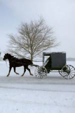 Watch Leaving Amish Paradise 9movies
