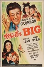 Watch Mister Big 9movies