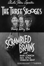 Watch Scrambled Brains 9movies