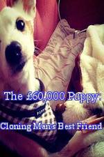 Watch The £60,000 Puppy: Cloning Man's Best Friend 9movies