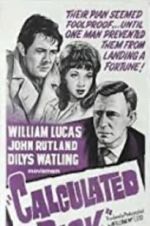 Watch Calculated Risk 9movies