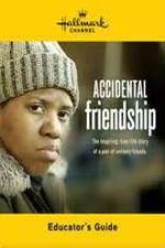 Watch Accidental Friendship 9movies