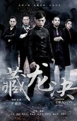 Watch Hidden Dragon Battle 9movies