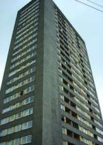 Watch High Times 9movies